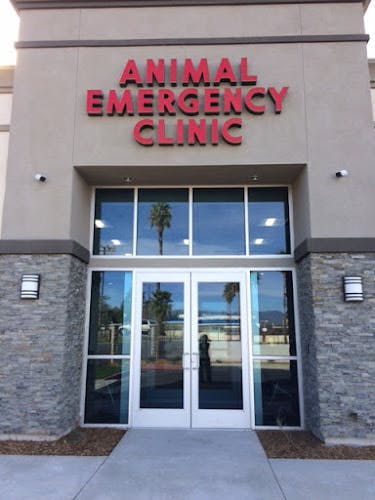 Dog day care center Animal Emergency Clinic Moreno Valley