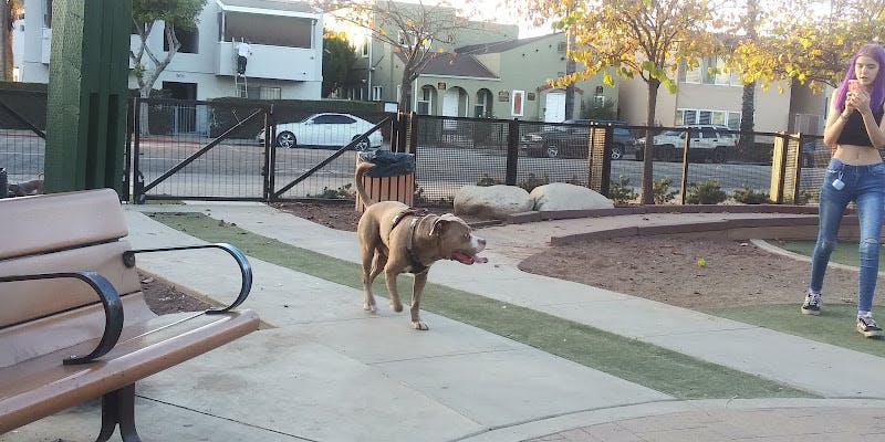 Dog day care center K-9 Corner Dog Park Long Beach