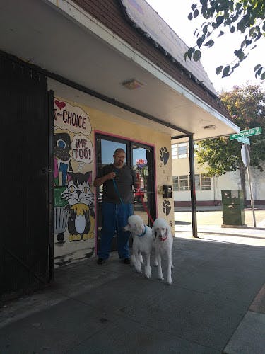 Dog day care center Pet Choice Oakland