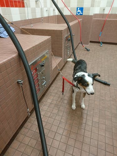 Dog day care center Pet Food Express Richmond