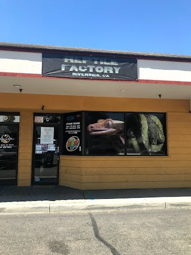 Dog day care center REPTILE FACTORY Riverside