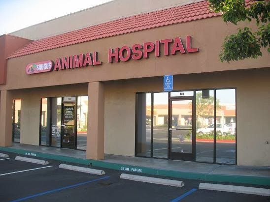 Dog day care center Saugus Animal Hospital Santa Clarita