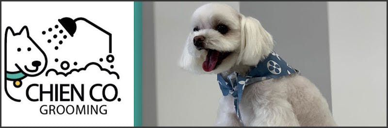Dog Grooming Chien Co Grooming Anaheim