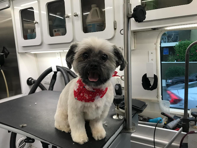 Dog Grooming L.A. Puppy Love Mobile Grooming Los Angeles
