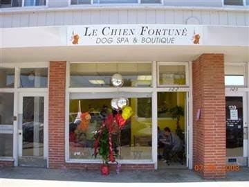 Dog Grooming Le Chien Fortune Dog Grooming Spa San Mateo