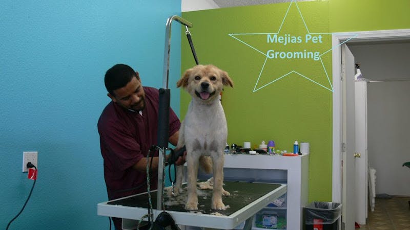 Dog Grooming Mejias Pet Grooming Compton