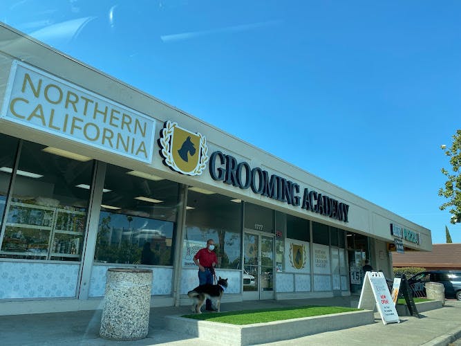 Dog Grooming Northern California Grooming Academy San Jose