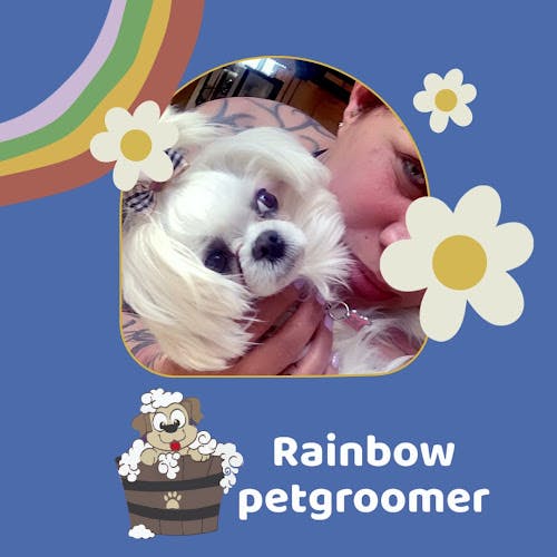 Dog Grooming Rainbow Pet Groomer (Mobile) San Francisco