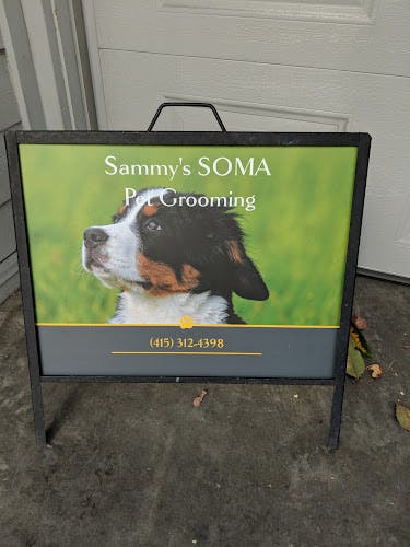 Dog Grooming Sammy's SOMA Pet Grooming San Francisco