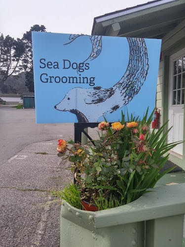 Dog Grooming Sea Dogs Grooming San Mateo