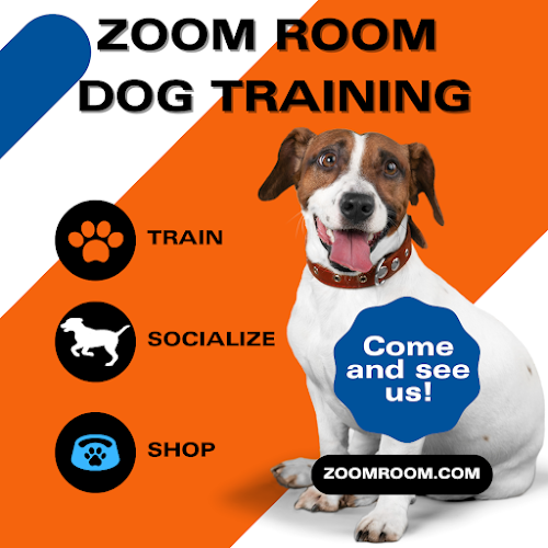 Dog Grooming Zoom Room Dog Training Long Beach