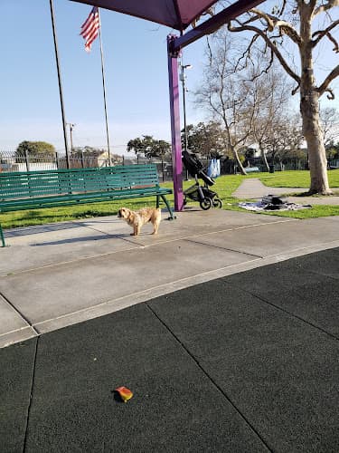 Dog Park Center Park Inglewood