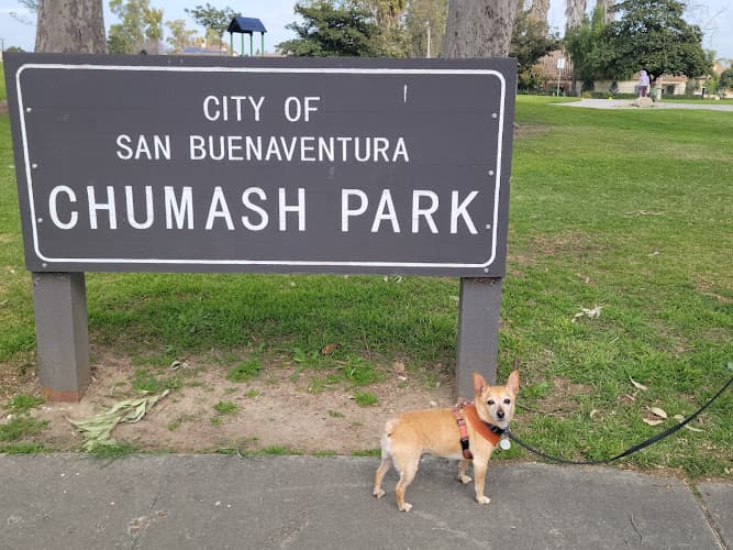 Dog Park Chumash Park Ventura