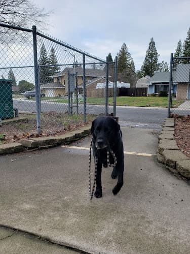 Dog Park Crestmont Park Roseville