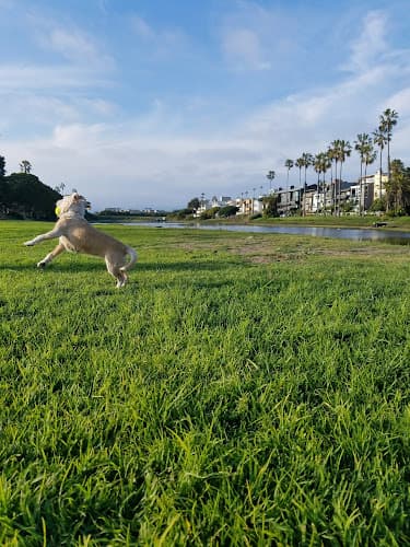 Dog Park Dockweiler Beach Inglewood