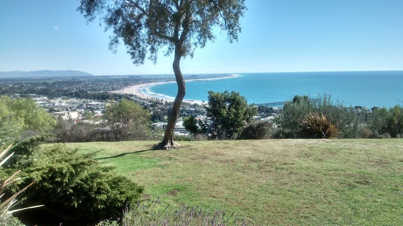 Dog Park Grant Park Ventura