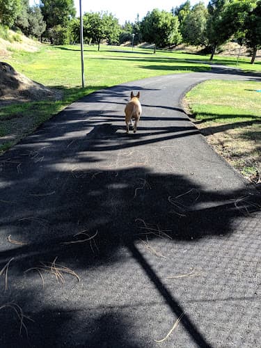 Dog Park Hillcrest Park Antioch