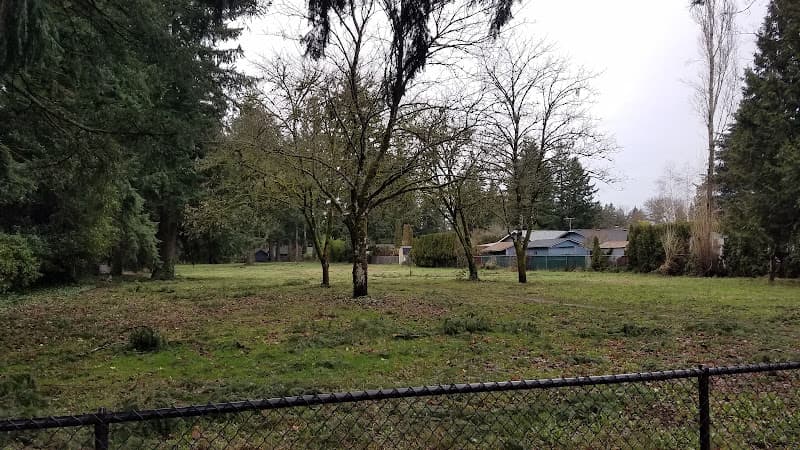 Dog Park Lauren Park Vancouver