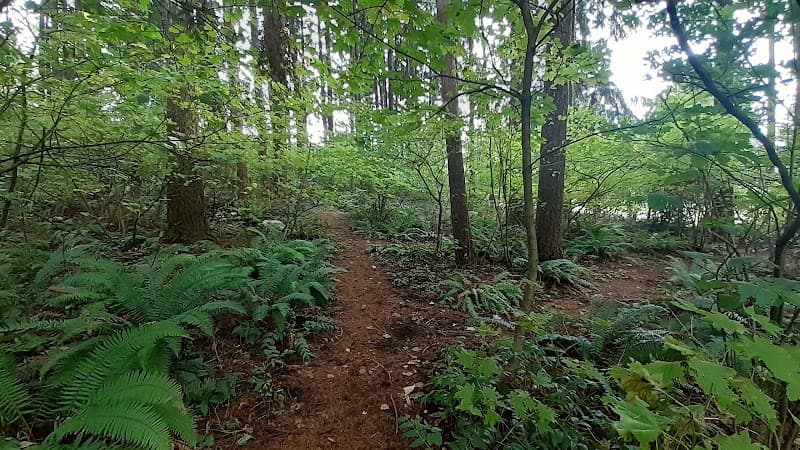 Dog Park Maplecrest Trail Vancouver