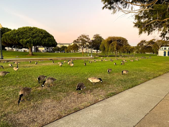 Dog Park Marina Park Richmond