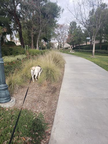 Dog Park Meadows Park Temecula