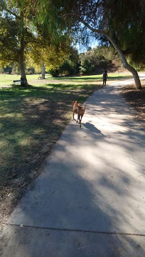 Dog Park Serrania Park Ventura