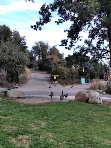 Dog Park Steckel Park Ventura