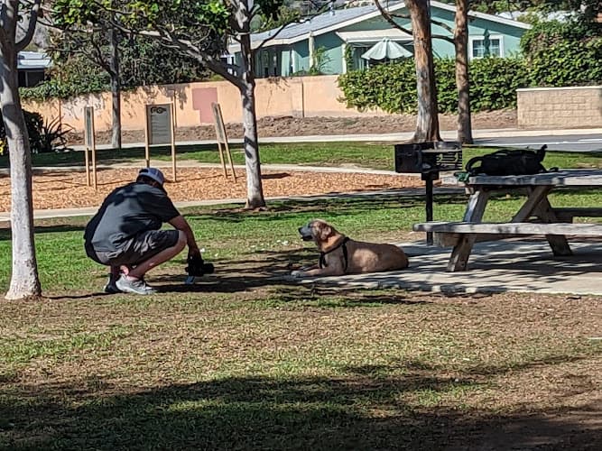 Dog Park Thille Park Ventura