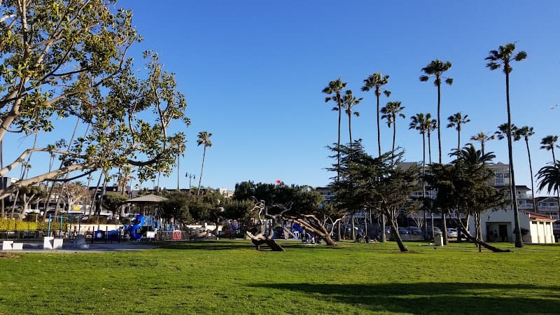 Dog Park Veterans Park Inglewood