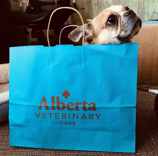 Pet boarding service Alberta Veterinary Care Portland