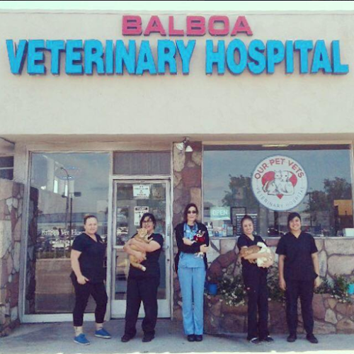 Pet boarding service Balboa Veterinary Hospital San Diego