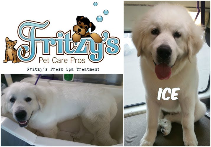 Pet boarding service Fritzy's Pet Care Pros Santa Ana