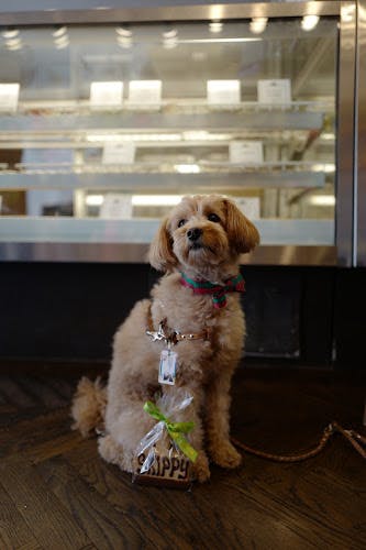 Pet boarding service Le Marcel Bakery for Dogs San Francisco