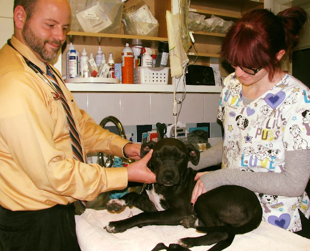 Pet boarding service Lincoln Avenue Veterinary Clinic San Jose