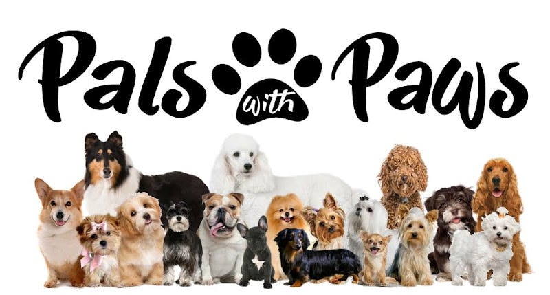 Pet boarding service Pals with Paws grooming Stockton