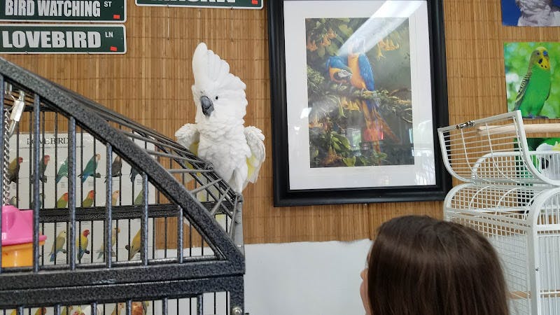 Pet boarding service Sparky's Bird Store Spokane