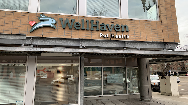 Pet boarding service WellHaven Pet Health- Downtown Vancouver Vancouver