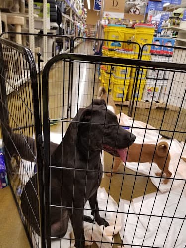 Rescue & Shelter PetSmart Fresno