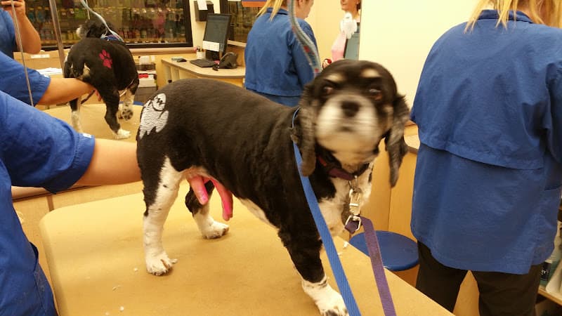 Rescue & Shelter PetSmart Irvine