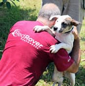 Rescue & Shelter RedRover Sacramento