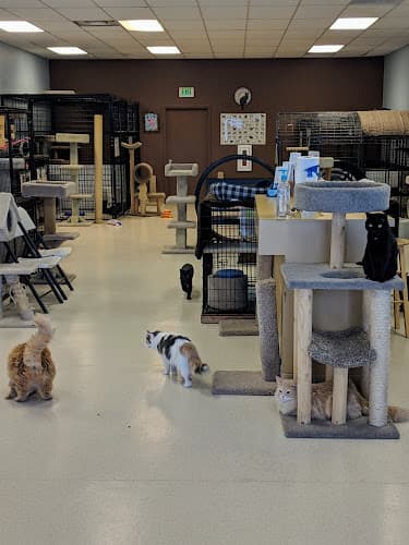 Pet boarding service Partners For Pets Spokane Valley