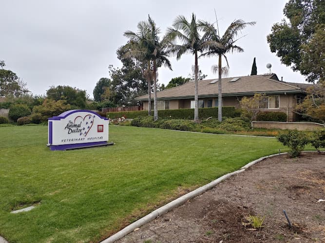 Pet boarding service The Animal Doctor Ventura