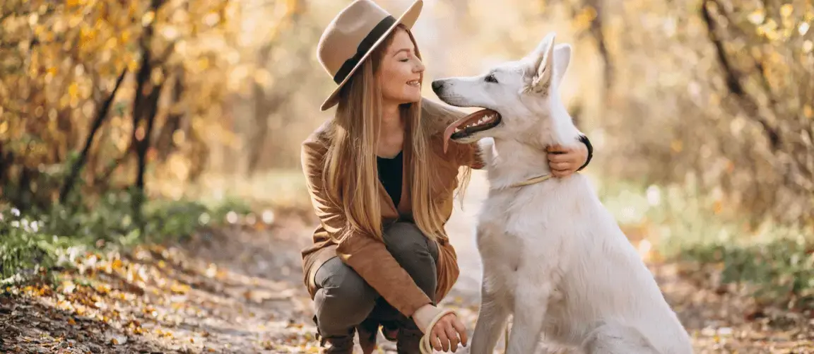 Looking for Pet Hotel Deals?