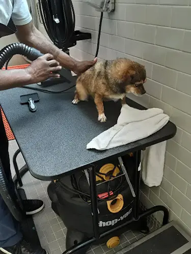 Pet boarding service Petco Los Angeles